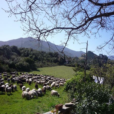 A Camera Di A Vigna Casta Buitenkant foto