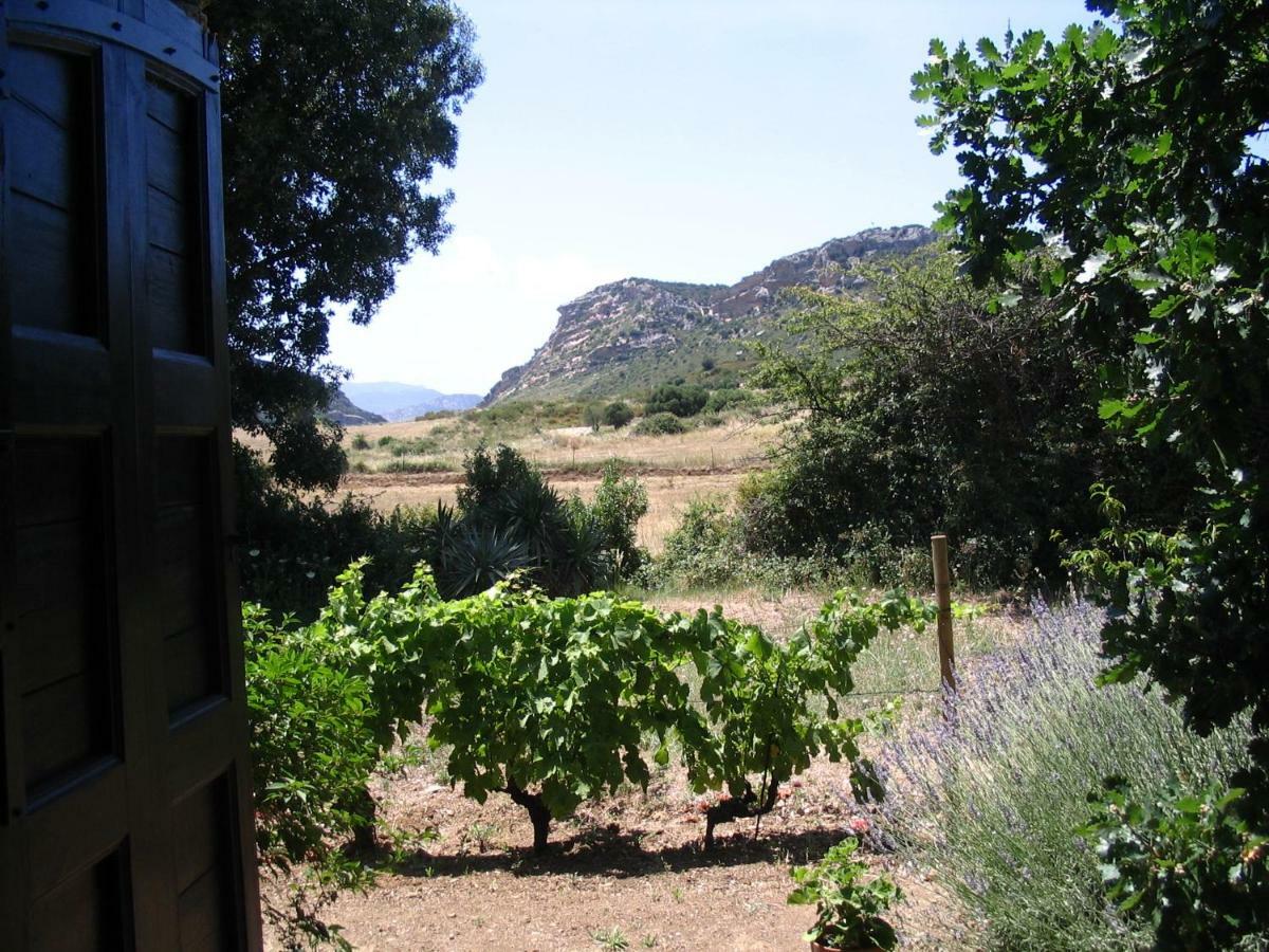 A Camera Di A Vigna Casta Buitenkant foto
